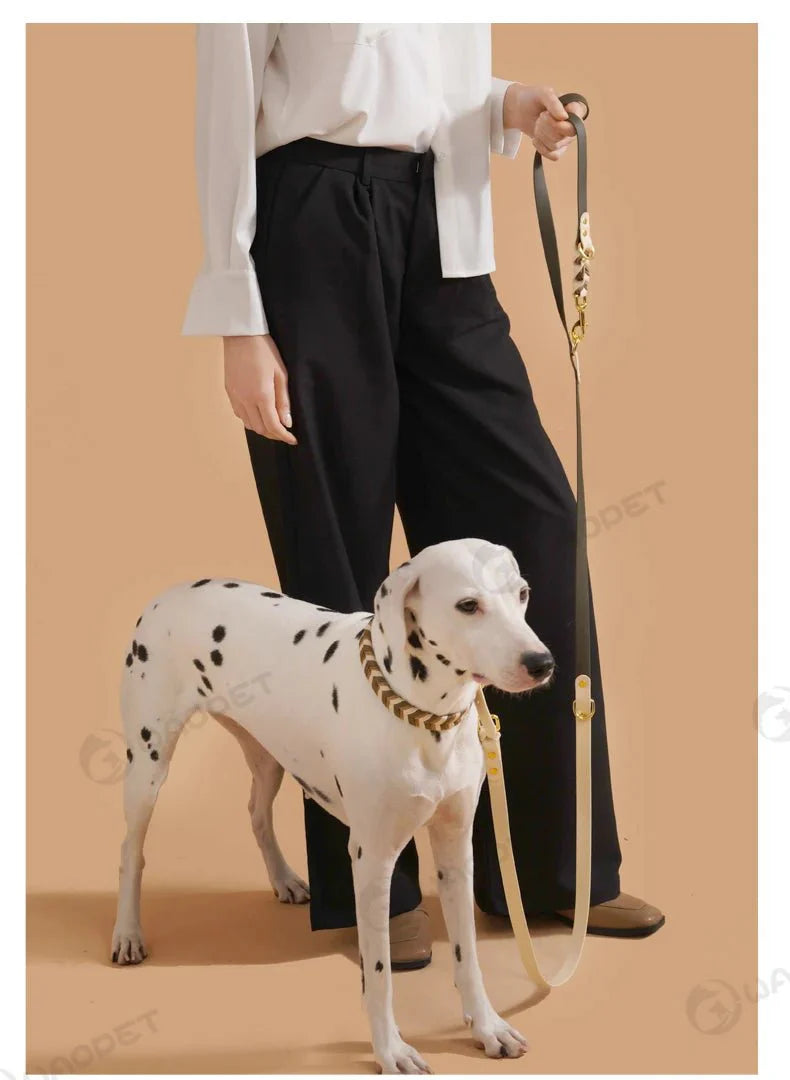 Laisse Mains Libres Multi-Fonction Pour Chien