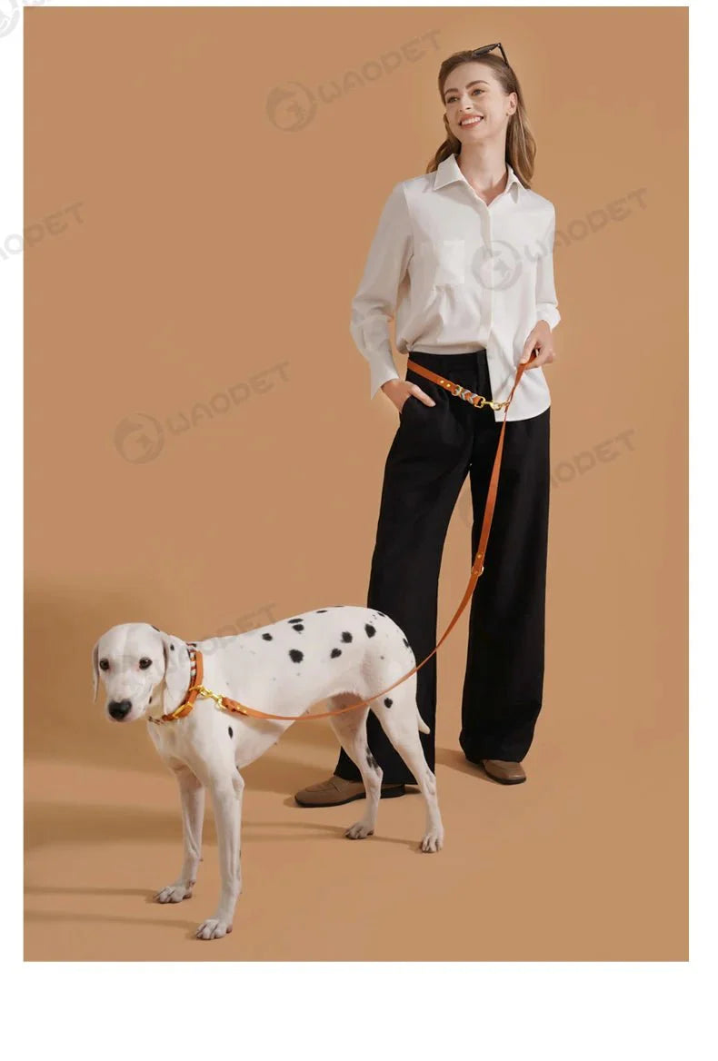 Laisse Mains Libres Multi-Fonction Pour Chien