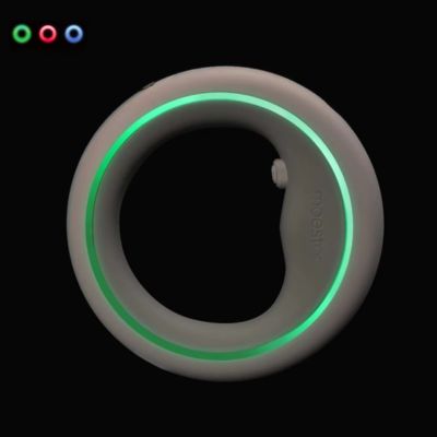 Laisse pour chien | UrbanRing™