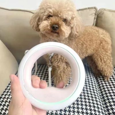 Laisse pour chien | UrbanRing™