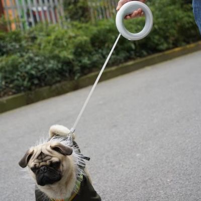 Laisse pour chien | UrbanRing™