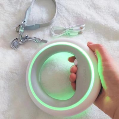 Laisse pour chien | UrbanRing™