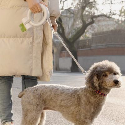 Laisse pour chien | UrbanRing™