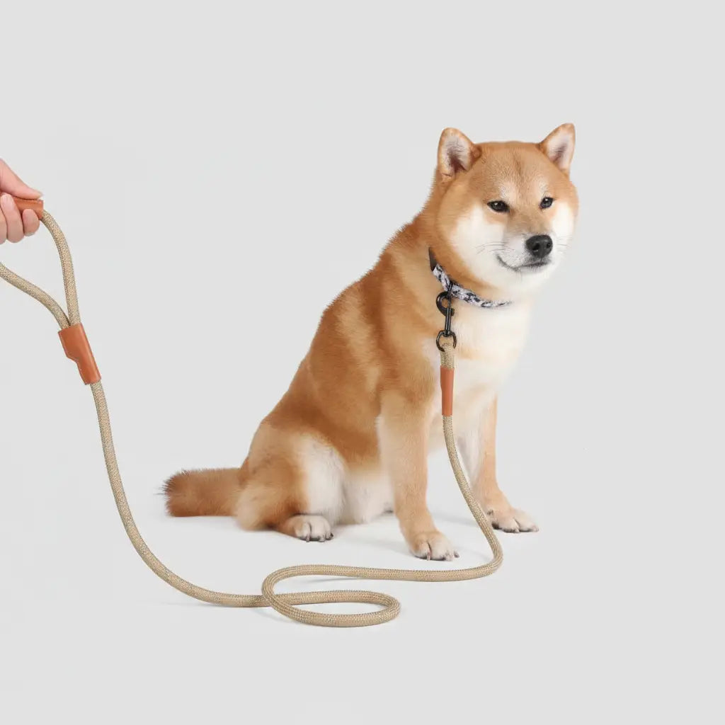 Laisse Réfléchissante En Nylon Pour Chien