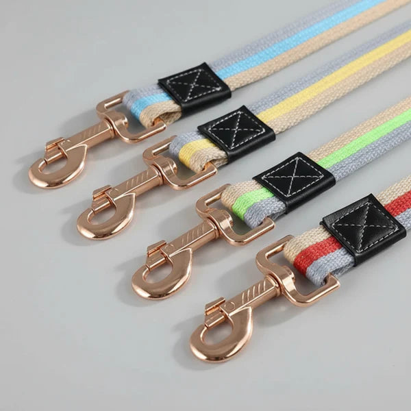 Laisse Pour Chien Tissu Résistante Et Design