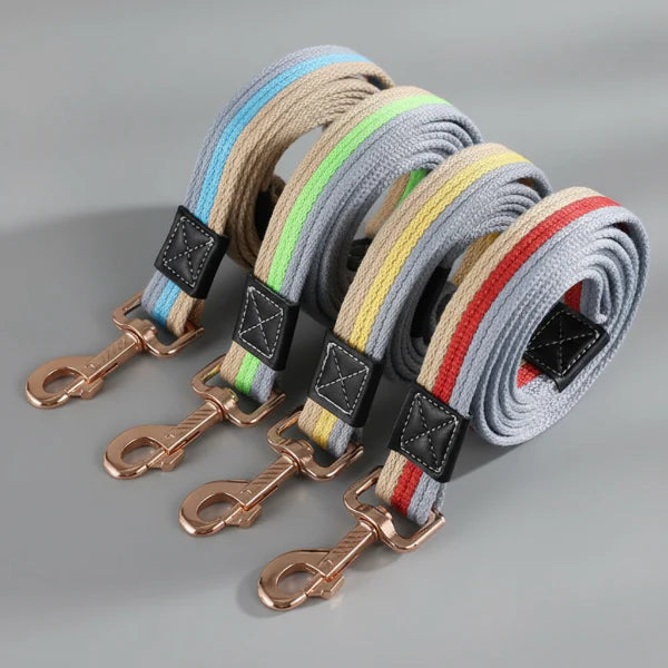 Laisse Pour Chien Tissu Résistante Et Design