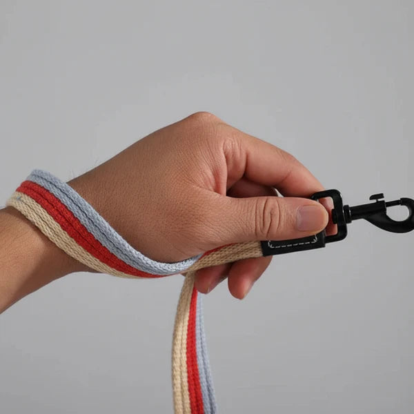 Laisse Pour Chien Tissu Résistante Et Design