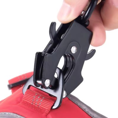 Laisses pour chien Multifonction