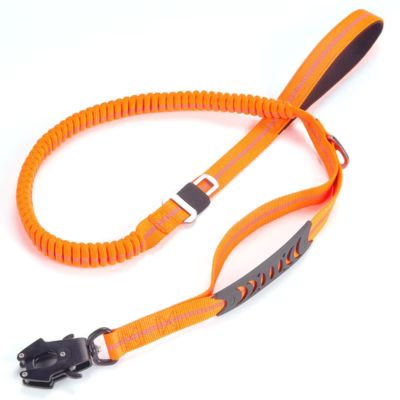 Laisses pour chien Multifonction