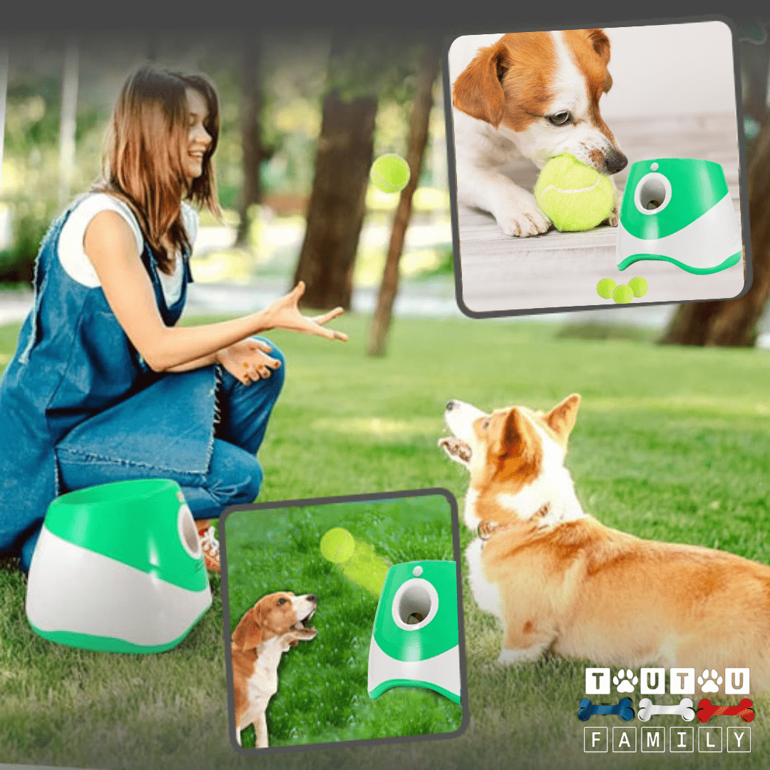 Lance balle automatique pour chien actif - LanceurToutou™