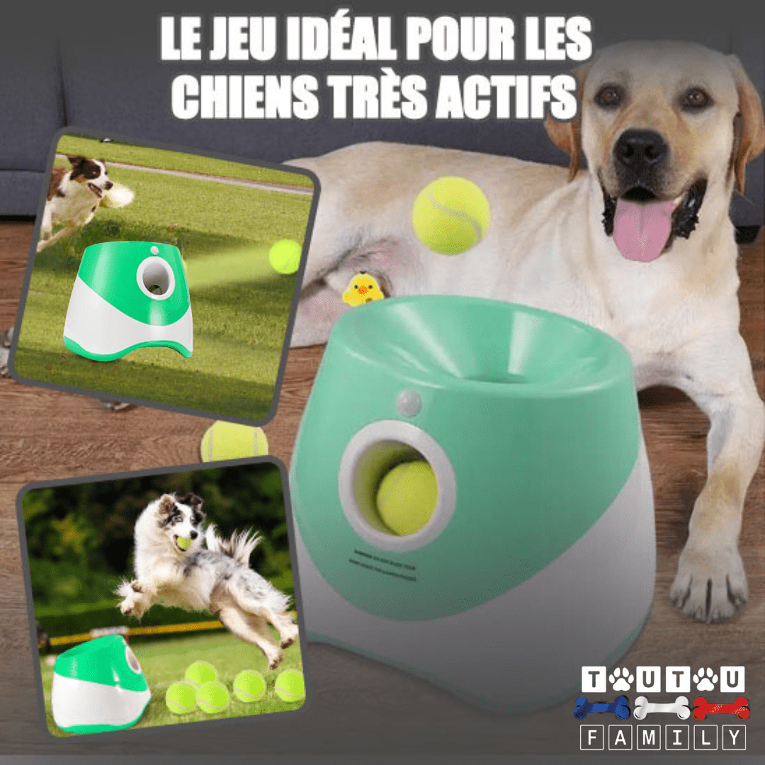 Lance balle automatique pour chien actif - LanceurToutou™