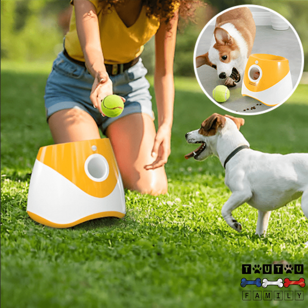 Lanceur balle automatique pour chien - AttrapeToutou™