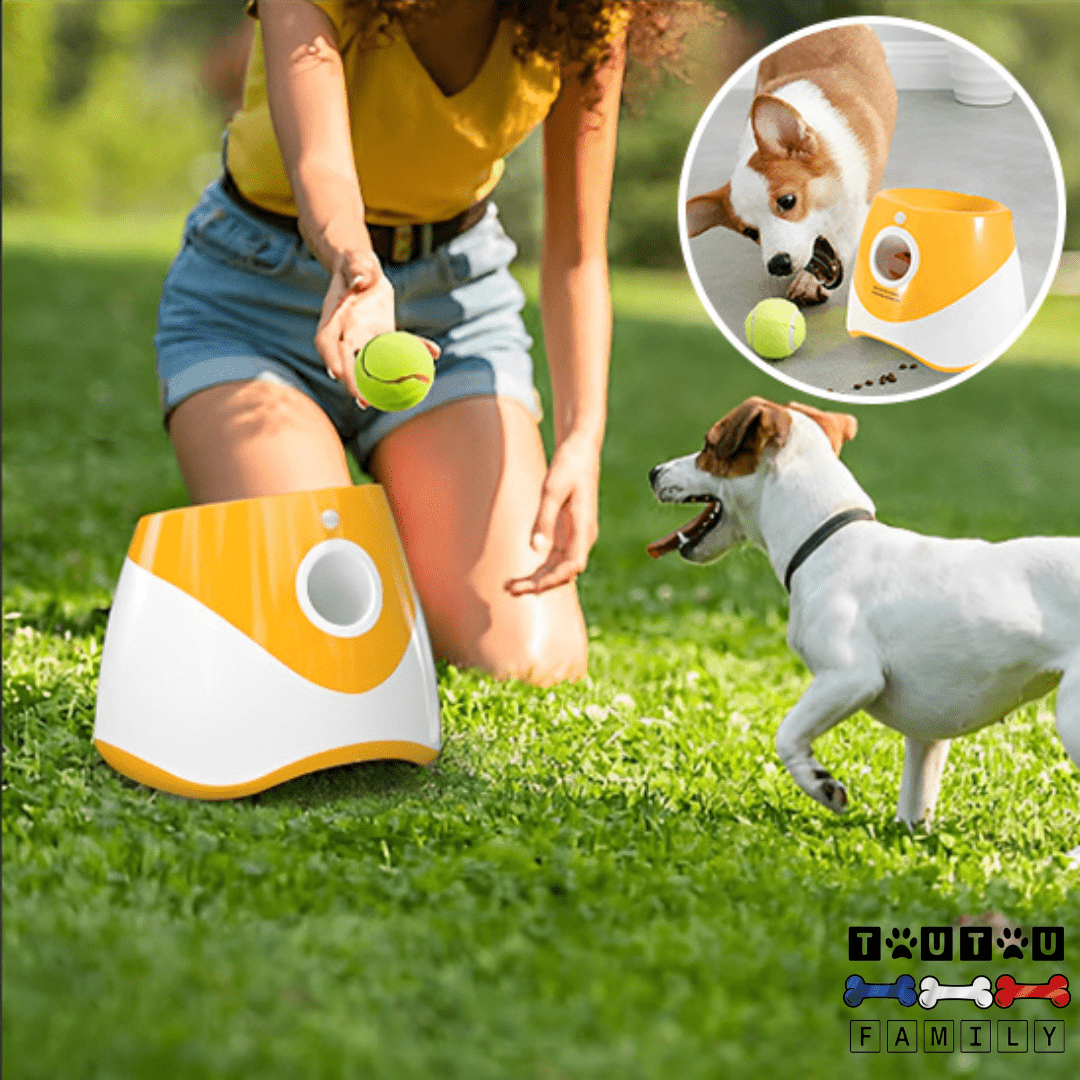 Lanceur balle automatique pour chien - AttrapeToutou™