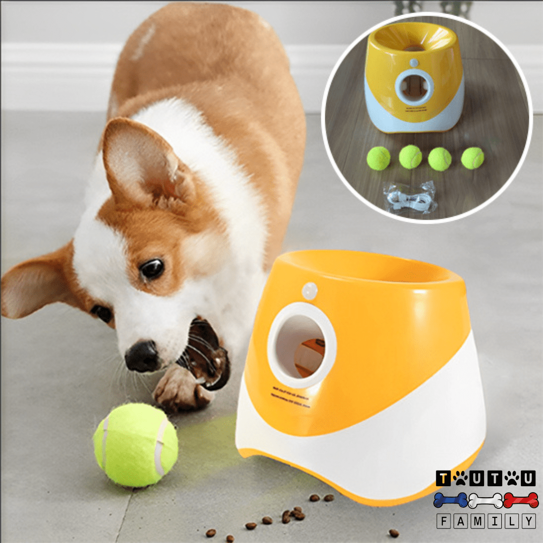 Lanceur balle automatique pour chien - AttrapeToutou™