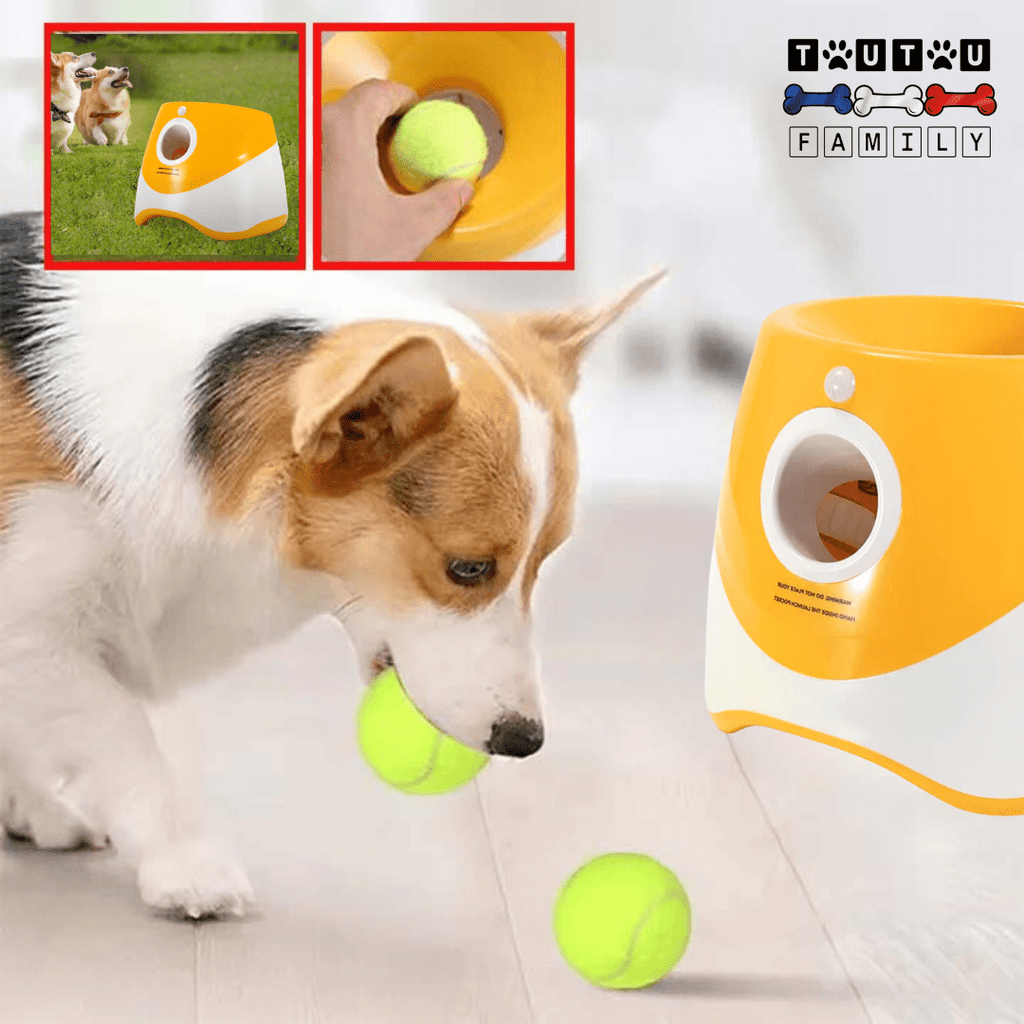 Lanceur balle automatique pour chien - AttrapeToutou™