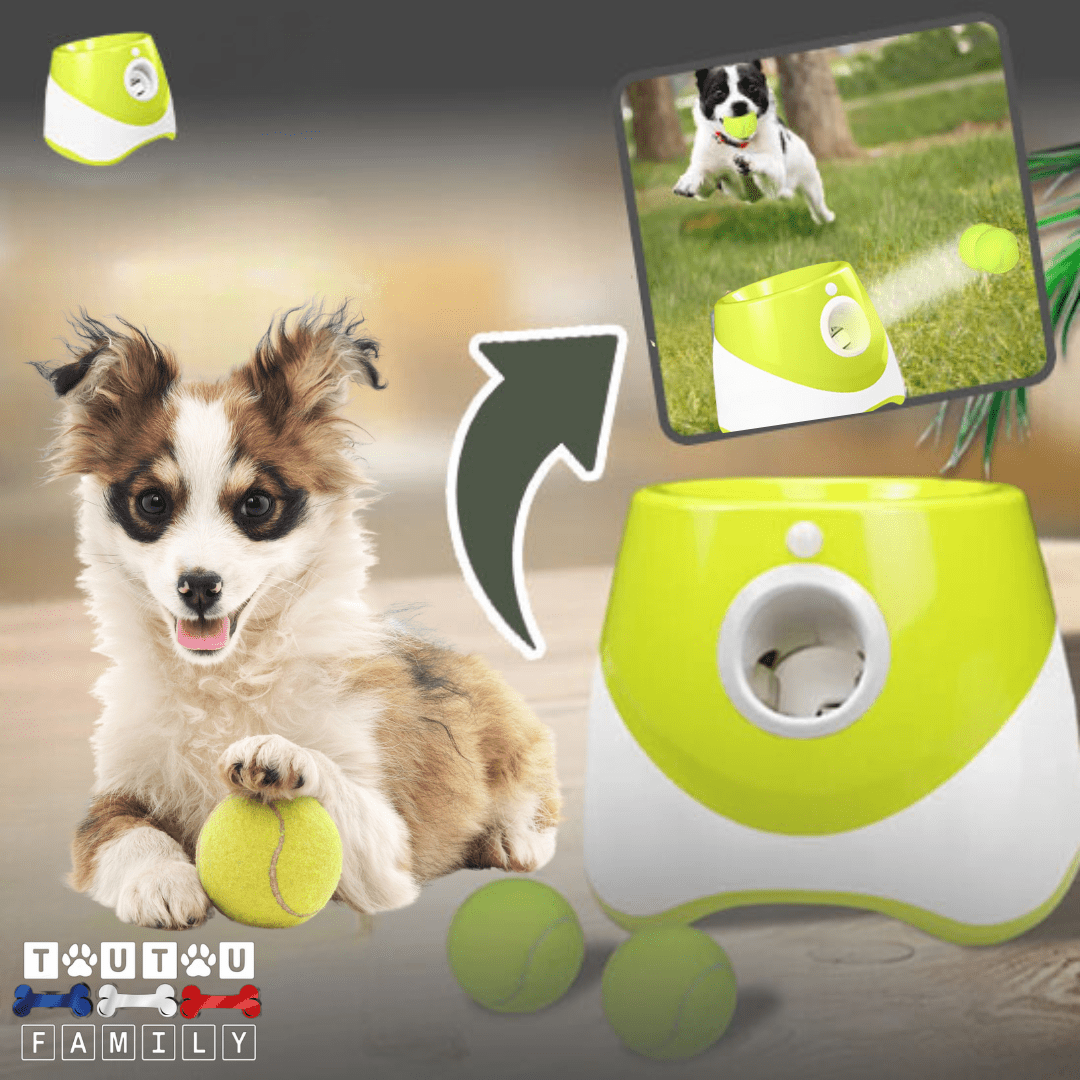 Lanceur balle automatique pour chien et chiot - JoueToutou™
