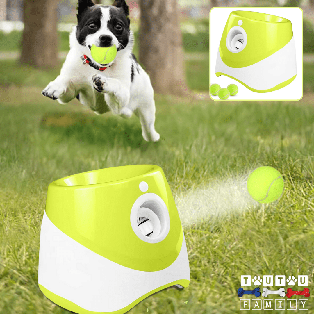 Lanceur balle automatique pour chien et chiot - JoueToutou™
