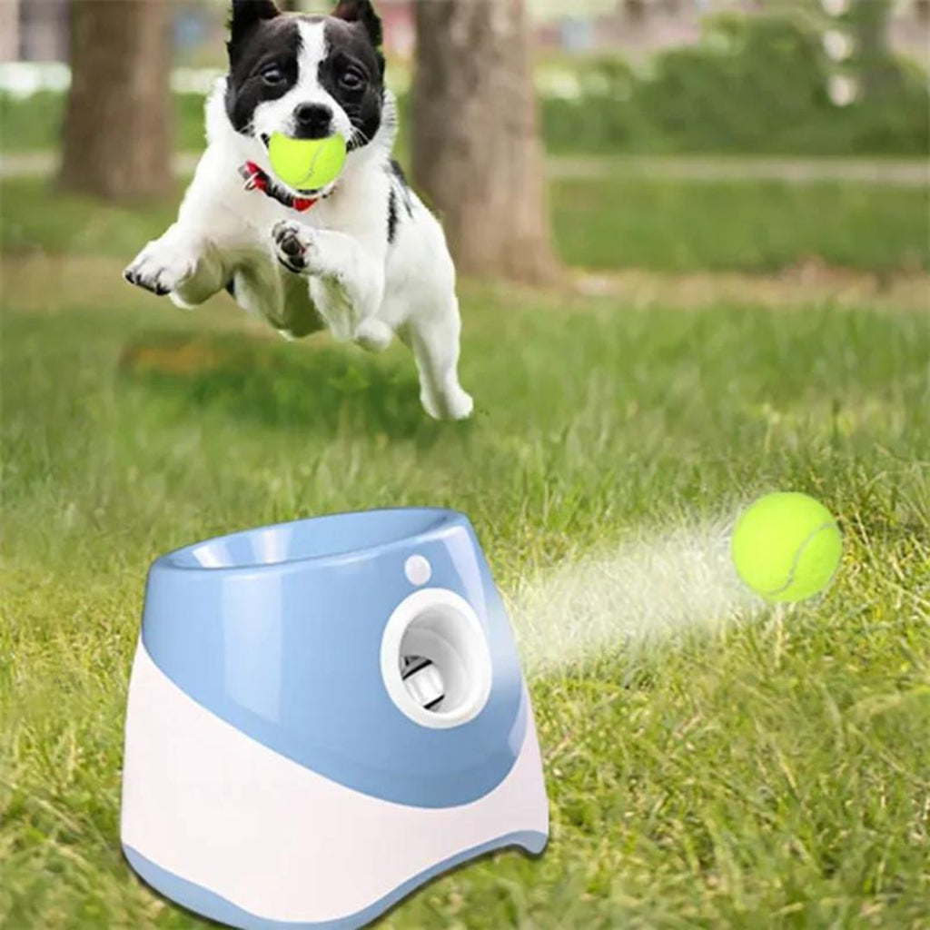Lanceur de balle pour chien bleu | RocketDog™