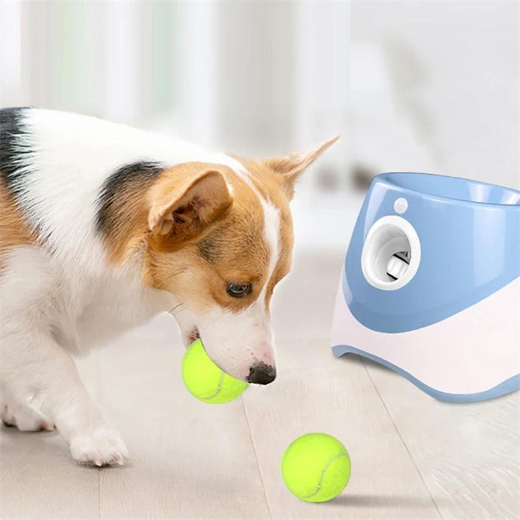 Lanceur de balle pour chien bleu | RocketDog™