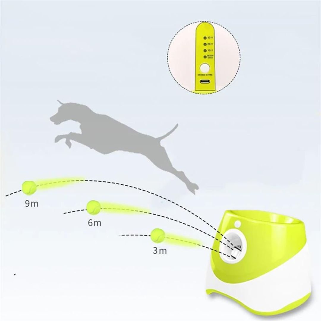 Lanceur de balle pour chien vert clair | RocketDog™