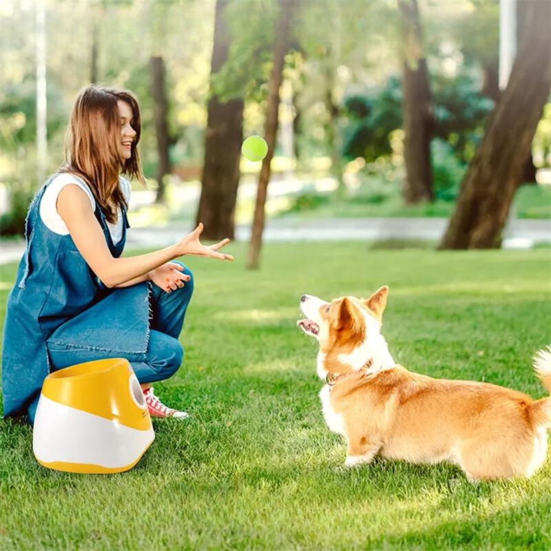 Lanceur de balles | RocketDog™