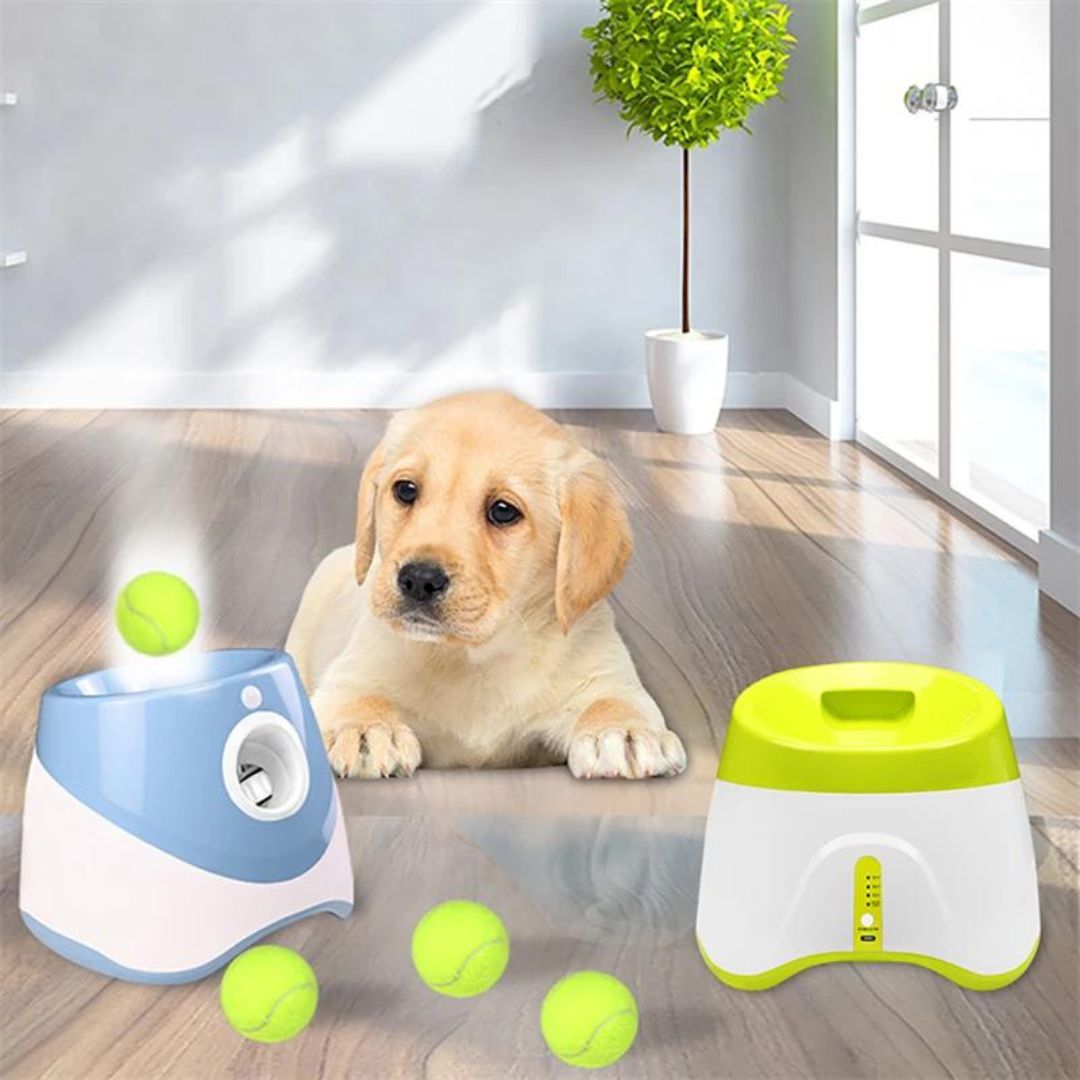 Lanceur de balle pour chien bleu | RocketDog™