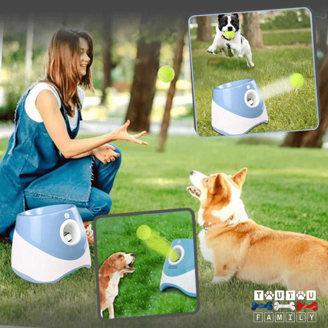 Lanceur de balle pour chien - LanceToutou™