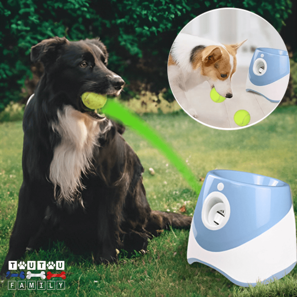 Lanceur de balle pour chien - LanceToutou™