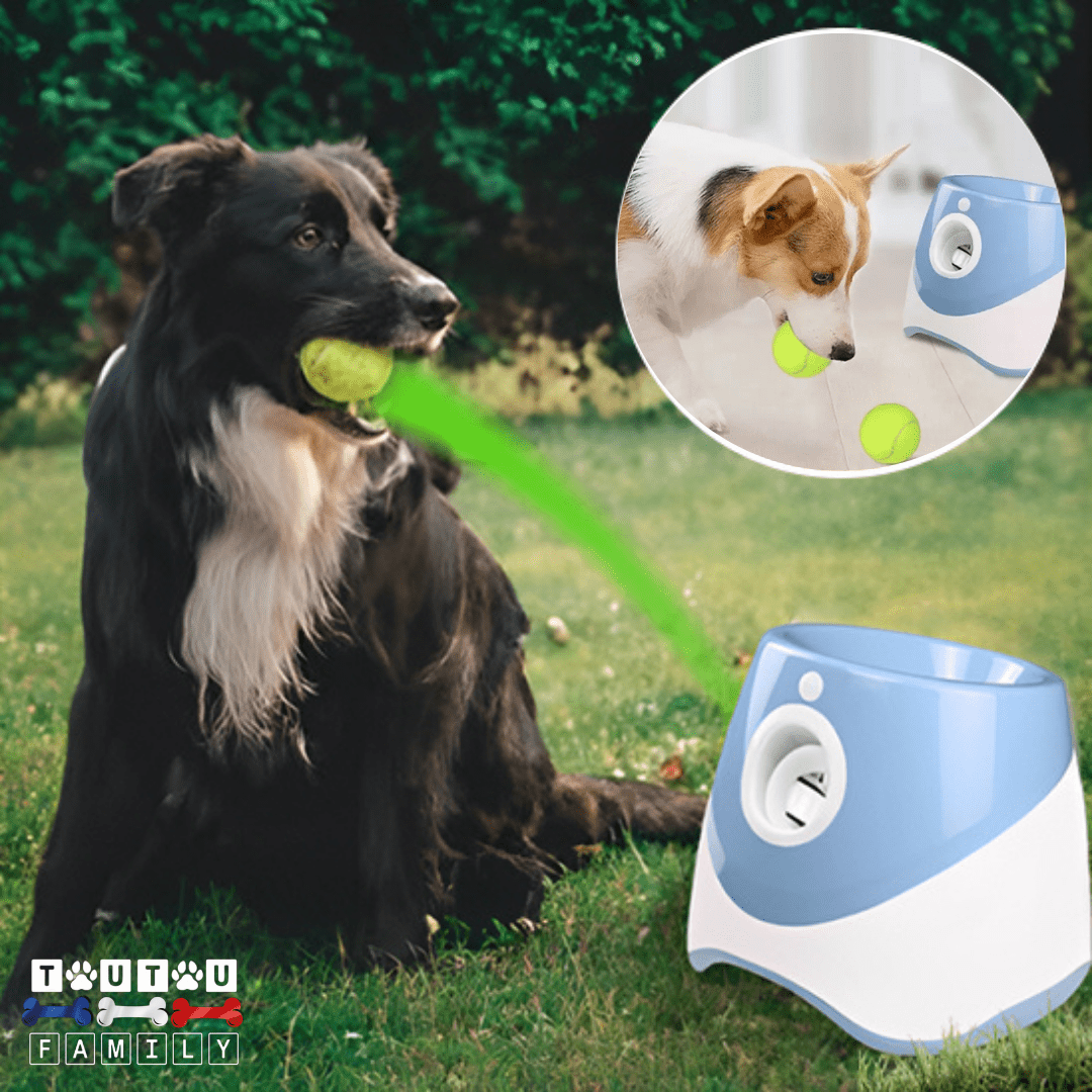 Lanceur de balle pour chien - LanceToutou™