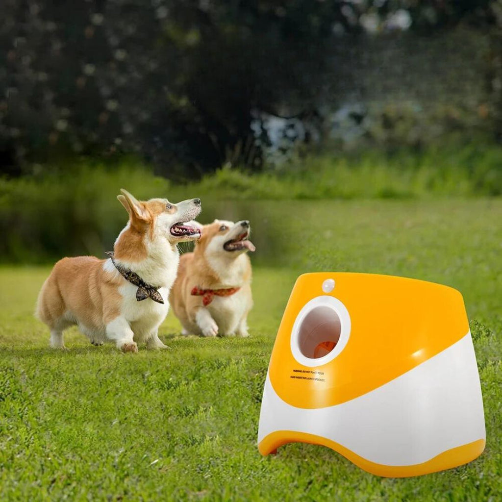 Lanceur de balles | RocketDog™