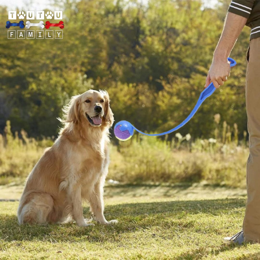 Lanceur de balle pour chien - LanceToutou™