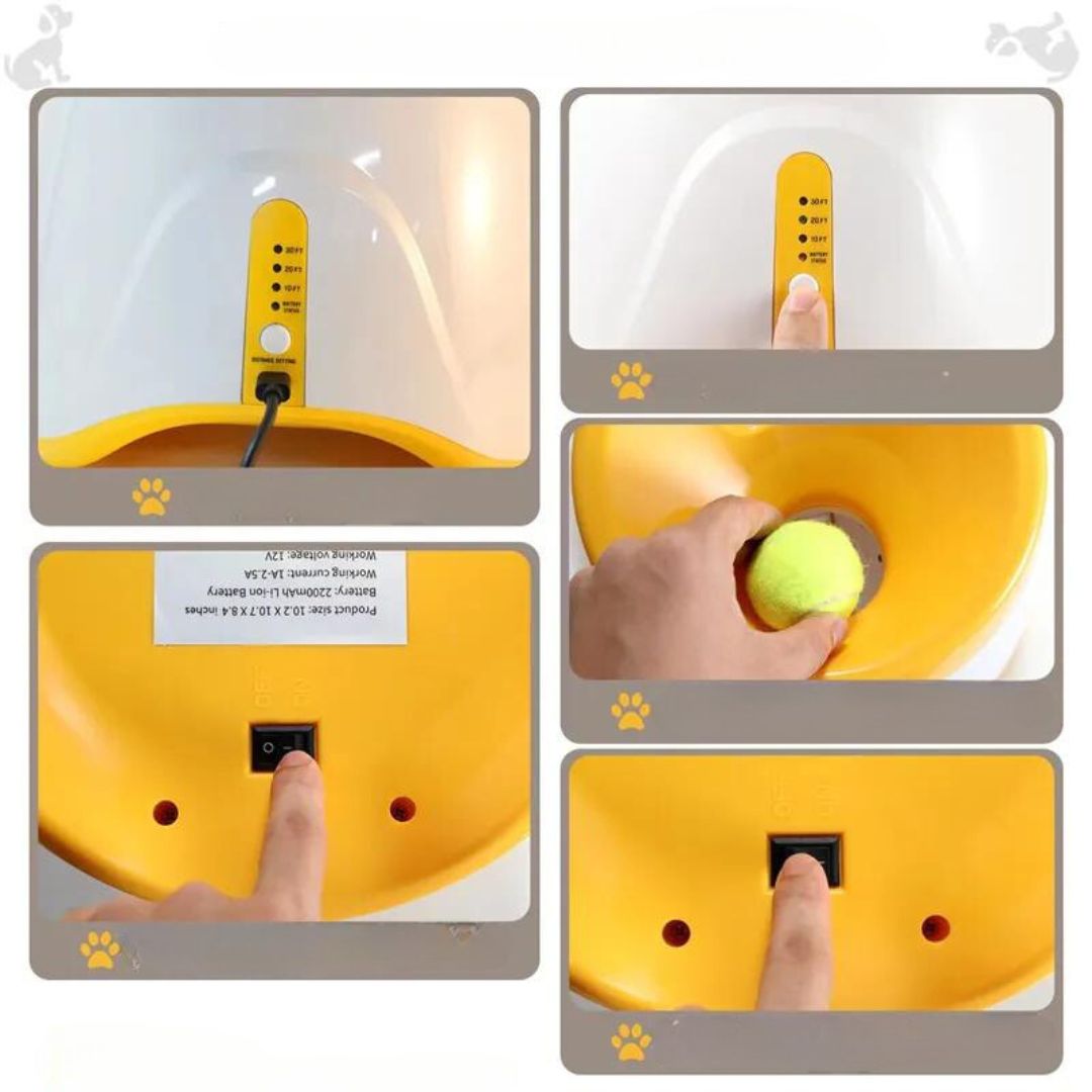 Lanceur de balles | RocketDog™
