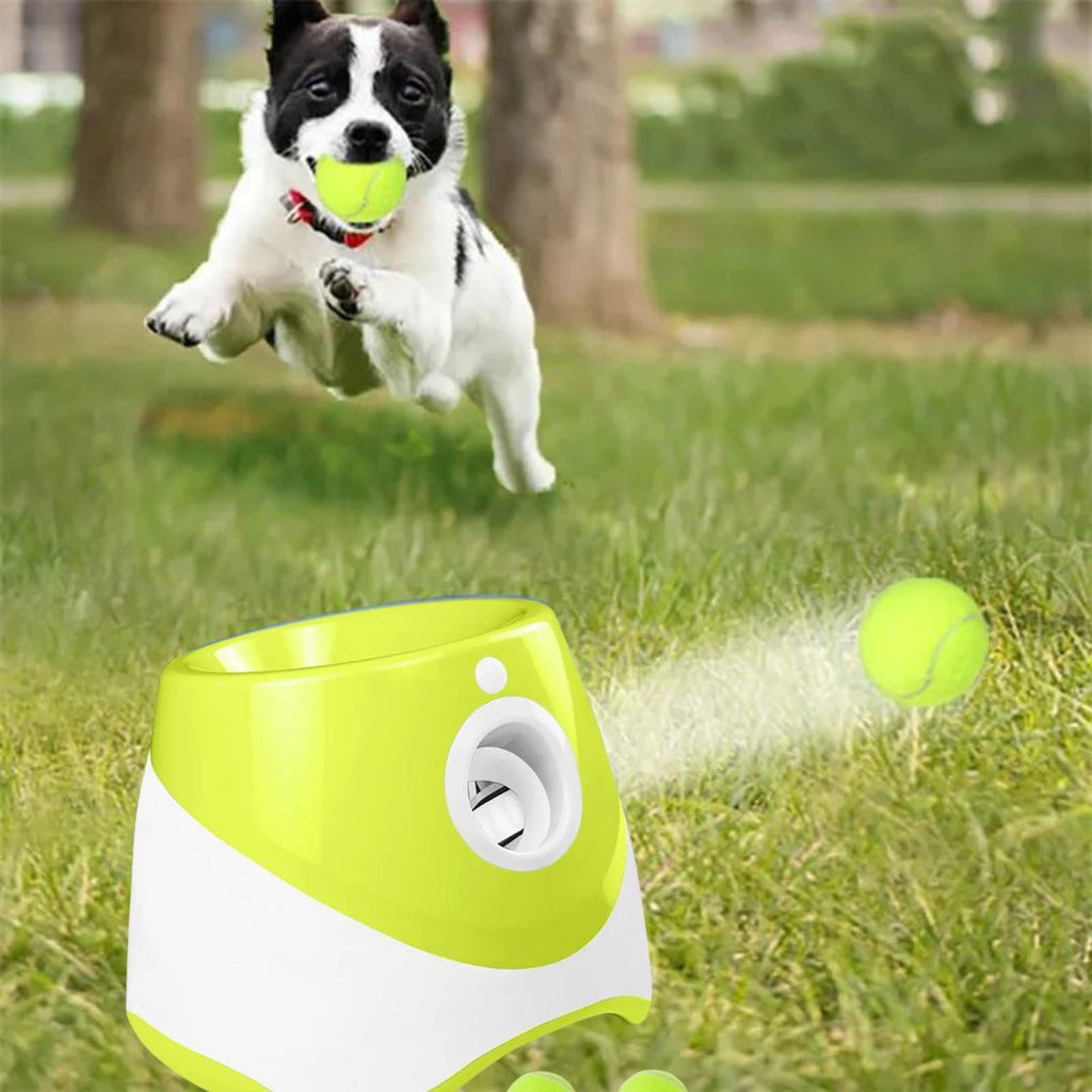 Lanceur de balle pour chien vert clair | RocketDog™