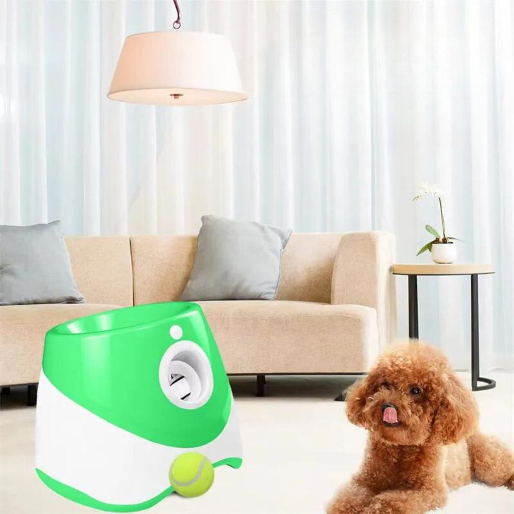 Lanceur de balle pour chien vert | RocketDog™