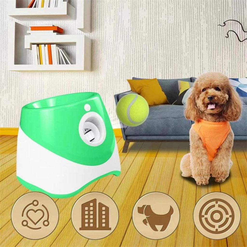 Lanceur de balle pour chien vert | RocketDog™