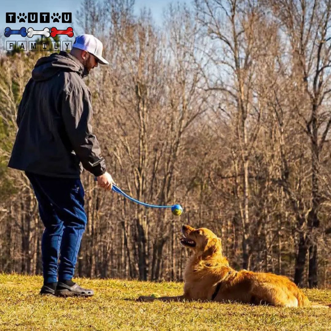 Lanceur de balle pour chien - LanceToutou™