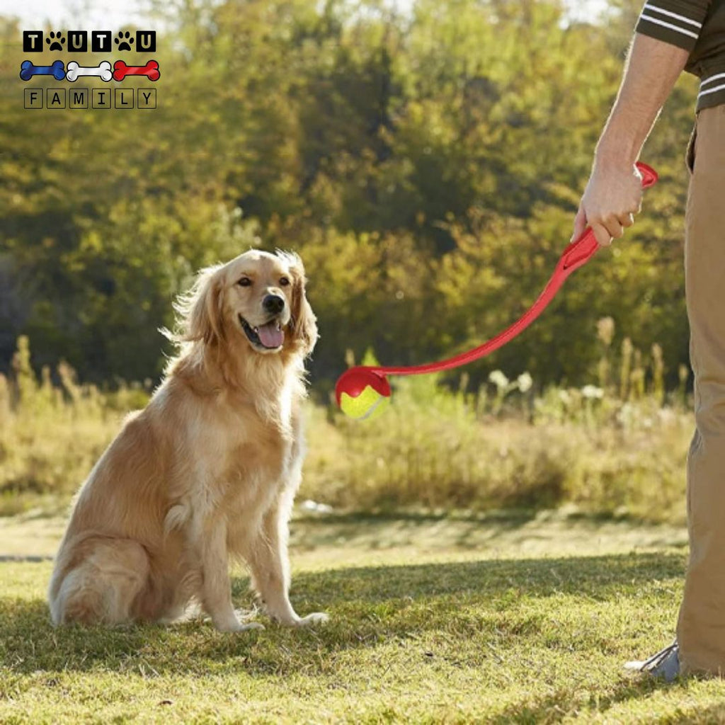 Lanceurs de balles pour chien - RapporteToutou™
