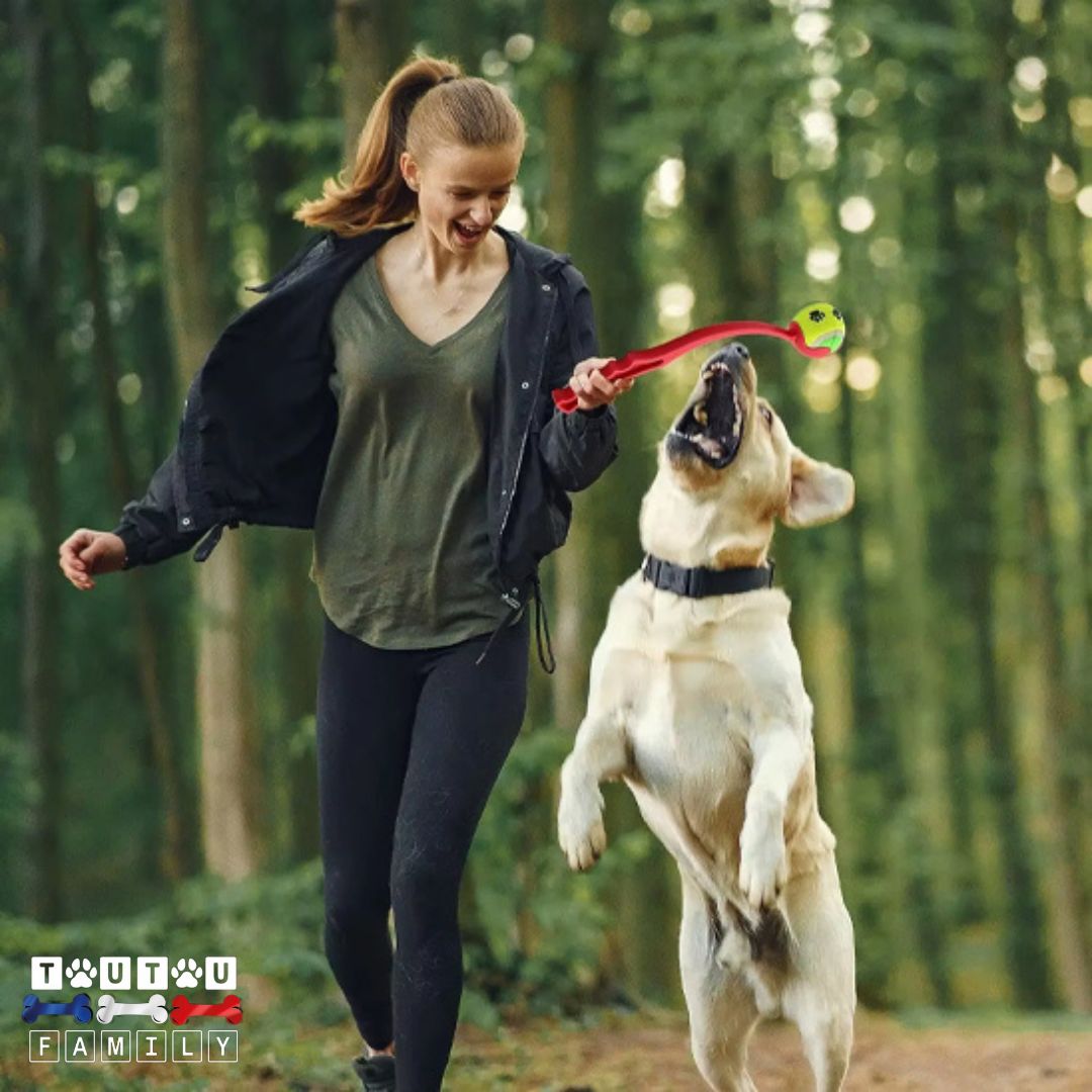 Lanceurs de balles pour chien - RapporteToutou™