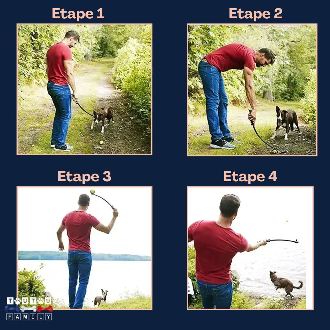 Lanceurs de balles pour chien - RapporteToutou™