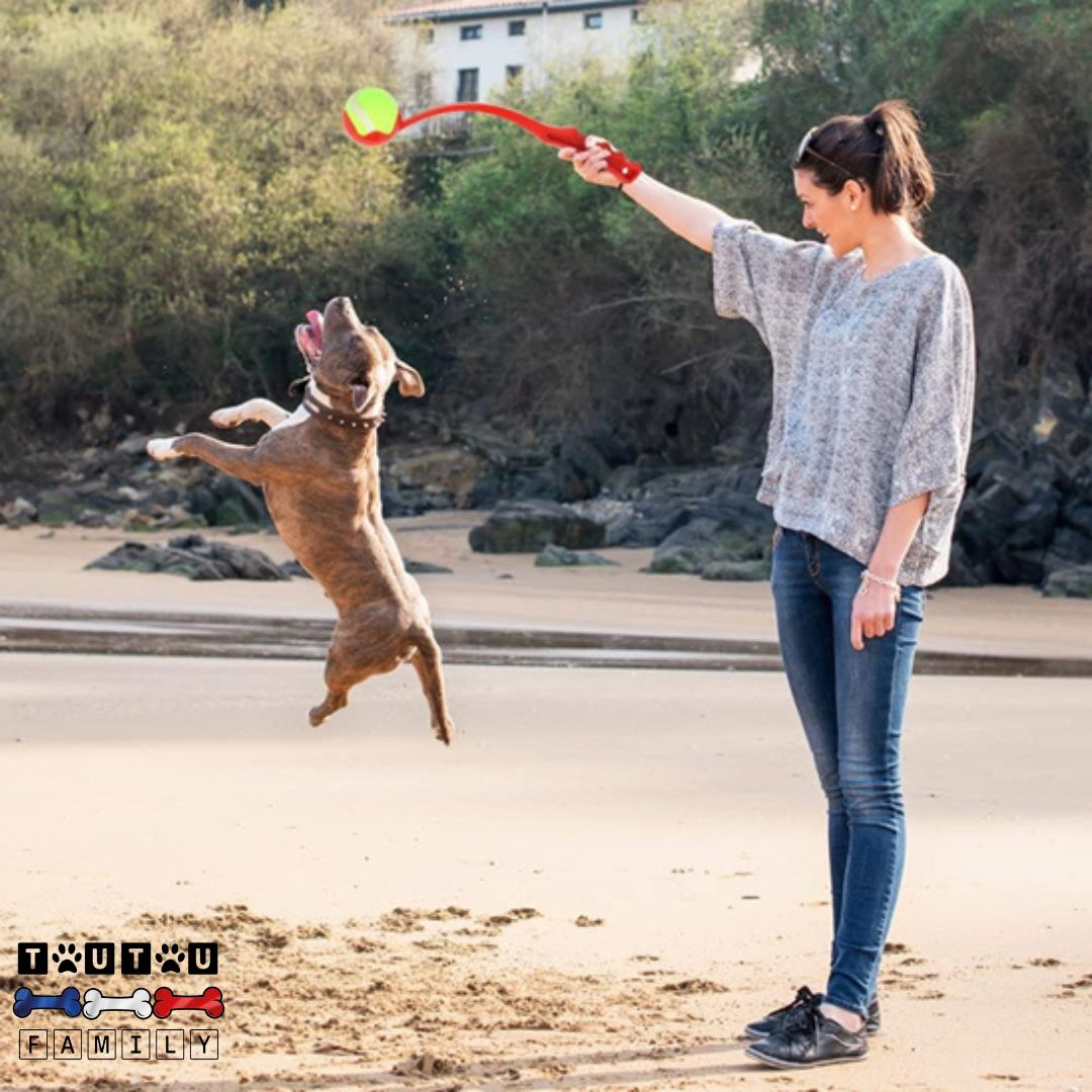 Lanceurs de balles pour chien - RapporteToutou™