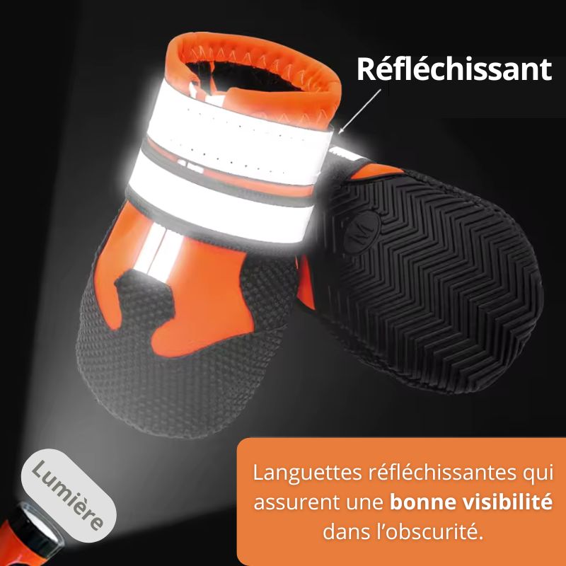 Chaussure Montagne Chien