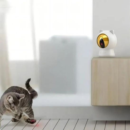 LASER A CHAT CONNECTE | Opti'Chat