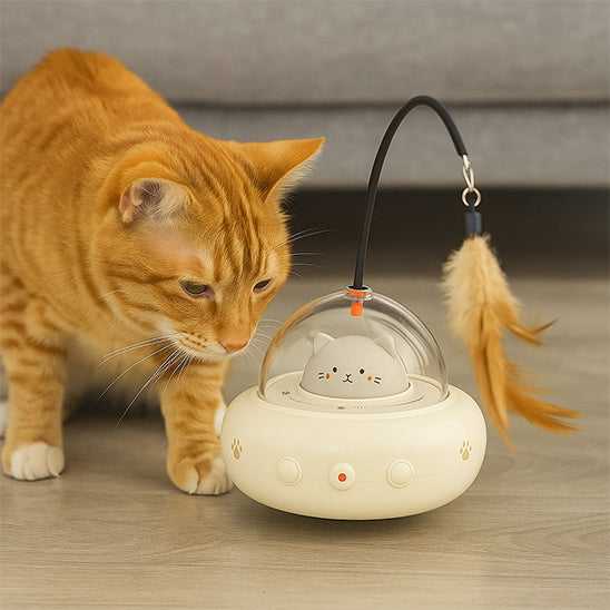 LASER A CHAT | Soucoupe Lumineuse