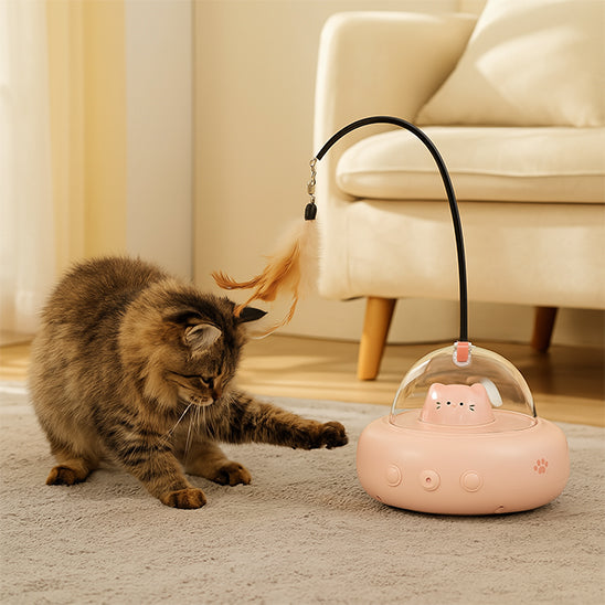 LASER A CHAT | Soucoupe Lumineuse
