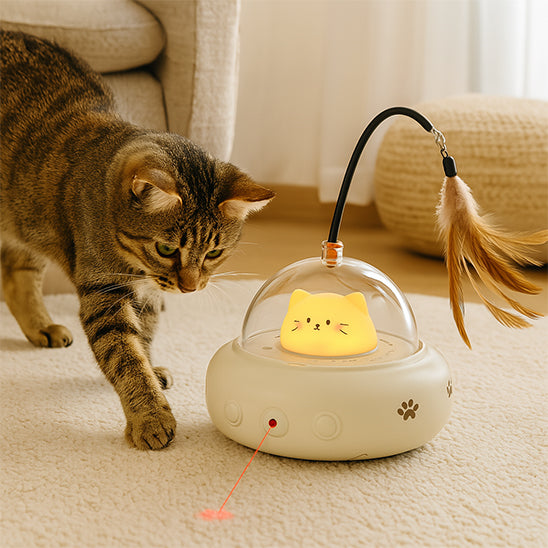 LASER A CHAT | Soucoupe Lumineuse