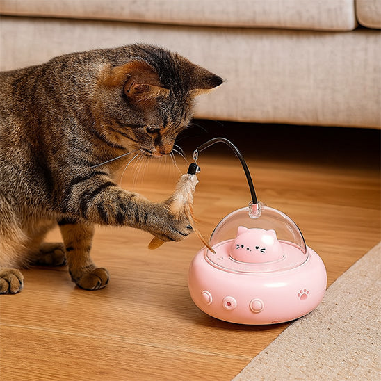 LASER A CHAT | Soucoupe Lumineuse