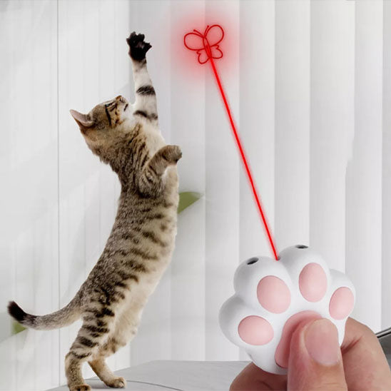 laser chat | Laser de Pattes