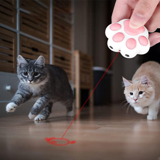 laser chat | Laser de Pattes