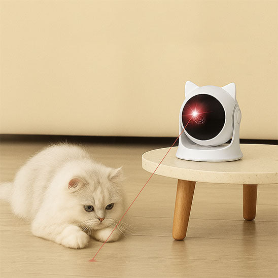 laser pour chat | Chasseur de Lumière