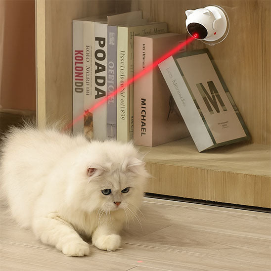 laser pour chat | Chasseur de Lumière
